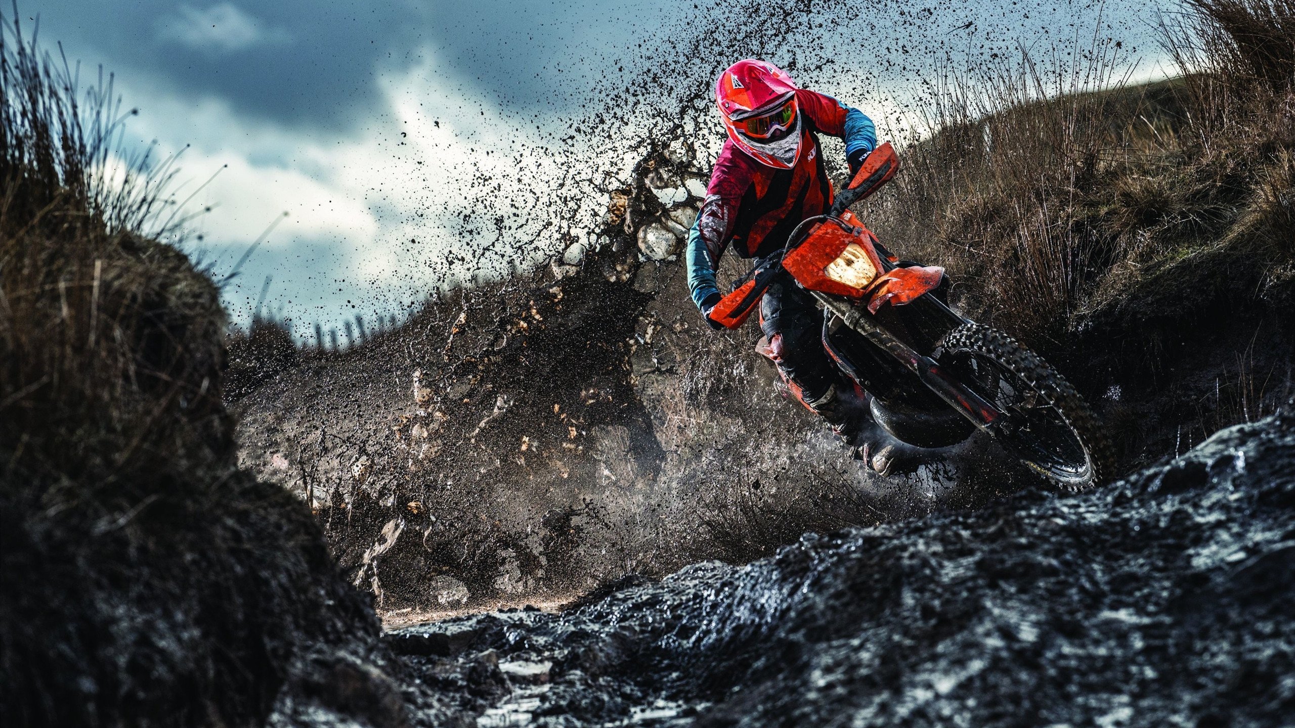 开云在线直播-铁血锁链，霍勒迪的终极防守与公牛的全面压制